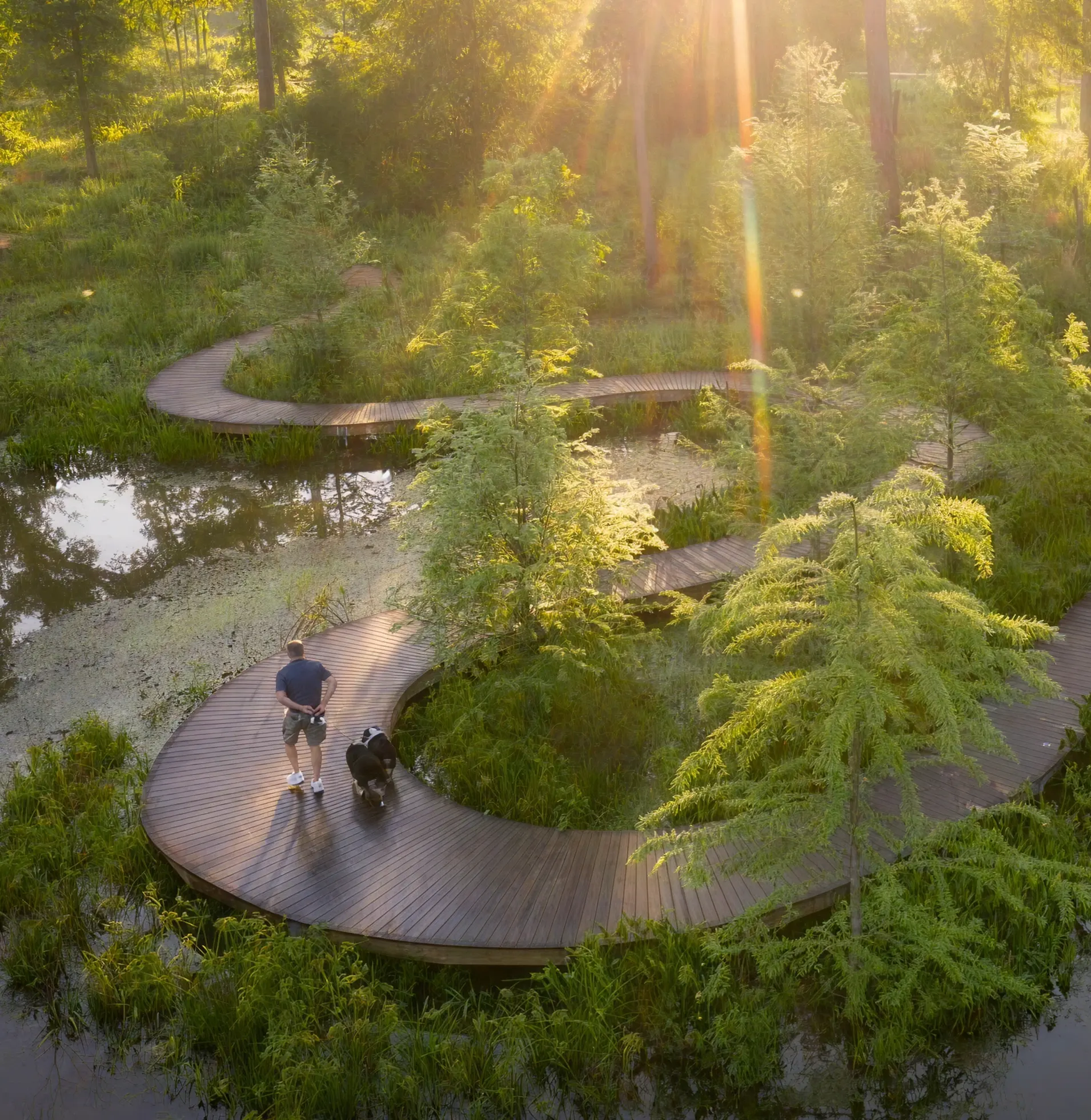 Explore Bayou City Experiences