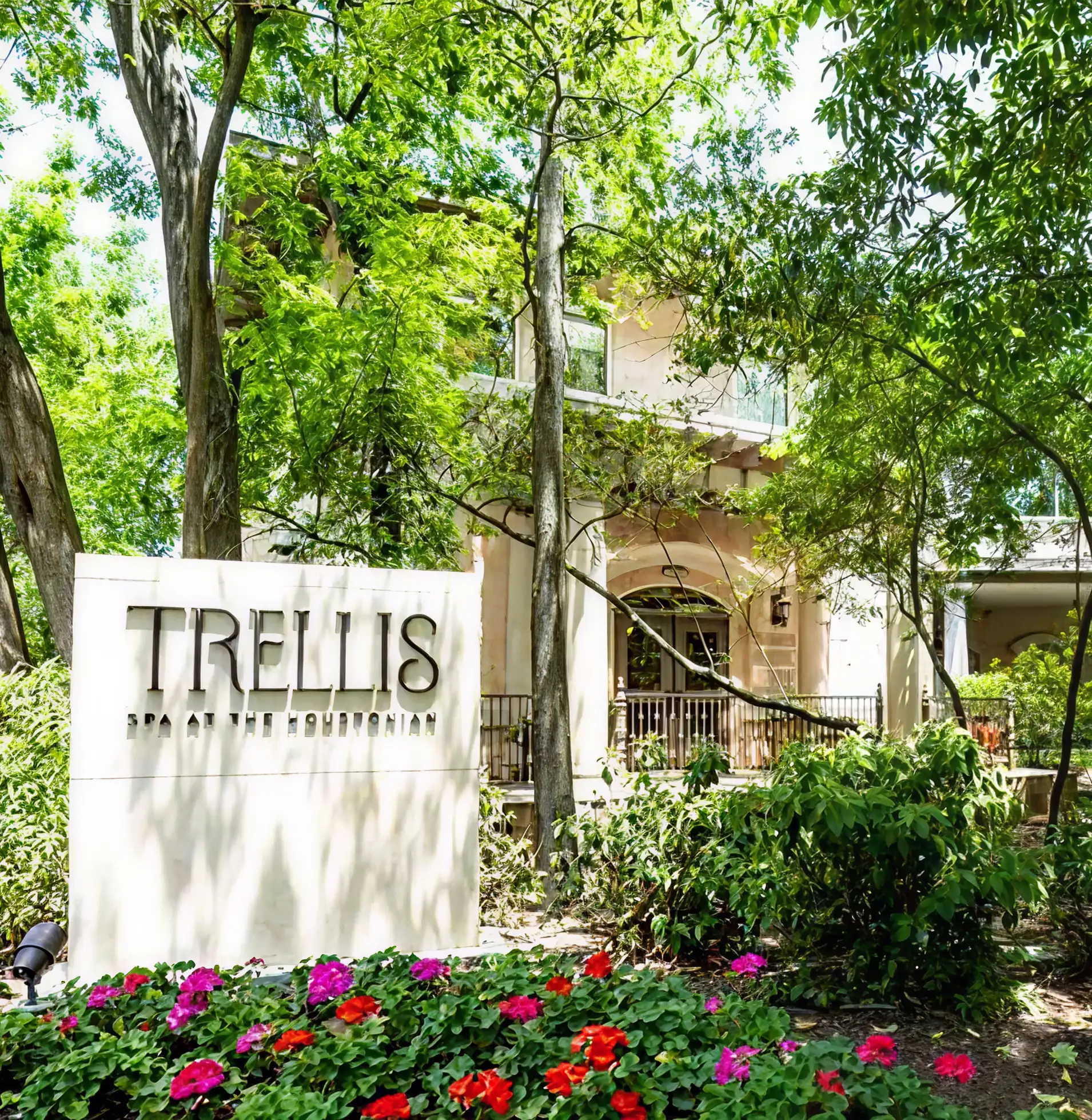Explore Bayou City Wellness